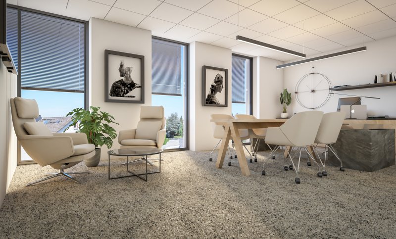 Director office